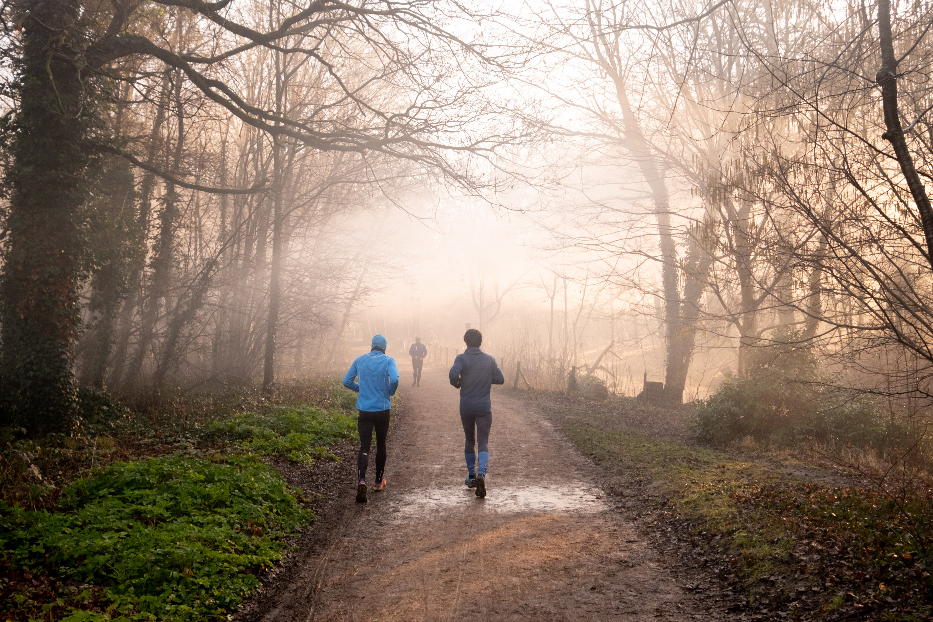 Joggers matinaux dans la lumière hivernale du bois de Vincennes. 