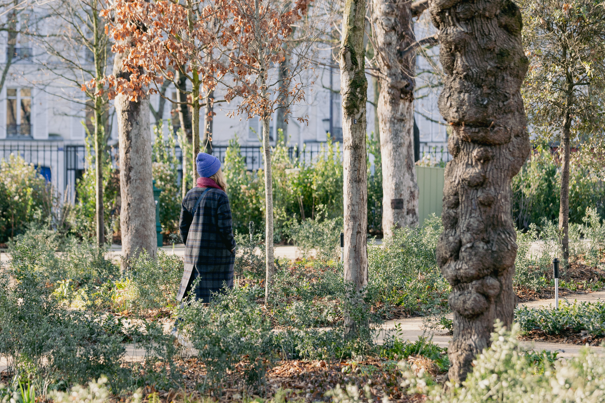 Une personne se promène dans les allées des jardins du Val-de-Grâce.