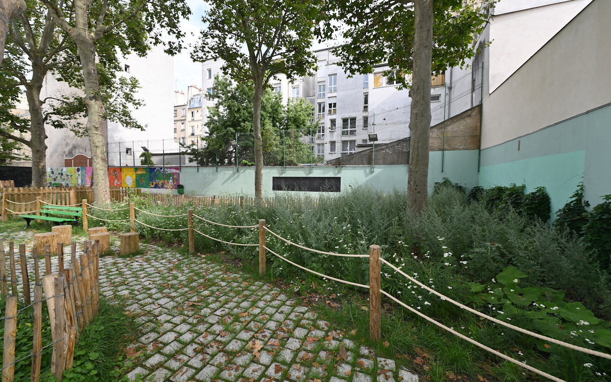cour végétalisée