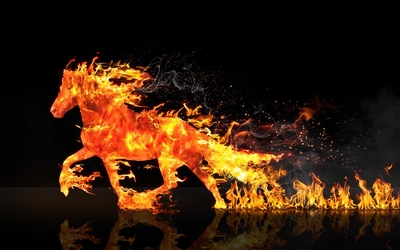 Il s'agit d'un cheval de feu