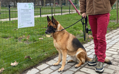 Un chien tenu en laisse dans un parc 