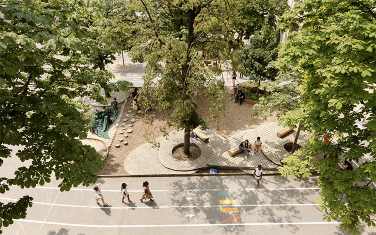Une cours oasis, avec des arbres et des dessins au sol