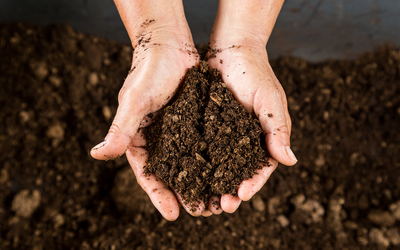 Photographie de mains tournées vers la caméra de façon à ce qu'on puisse apercevoir qu'elles prennent de la terre. L'arrière plan est composé de terre.