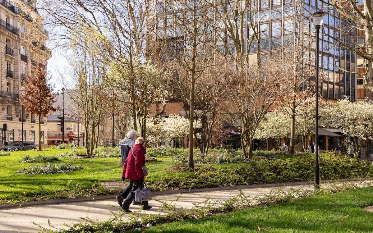 Visuel de la forêt urbaine place du Colonel-Fabien 