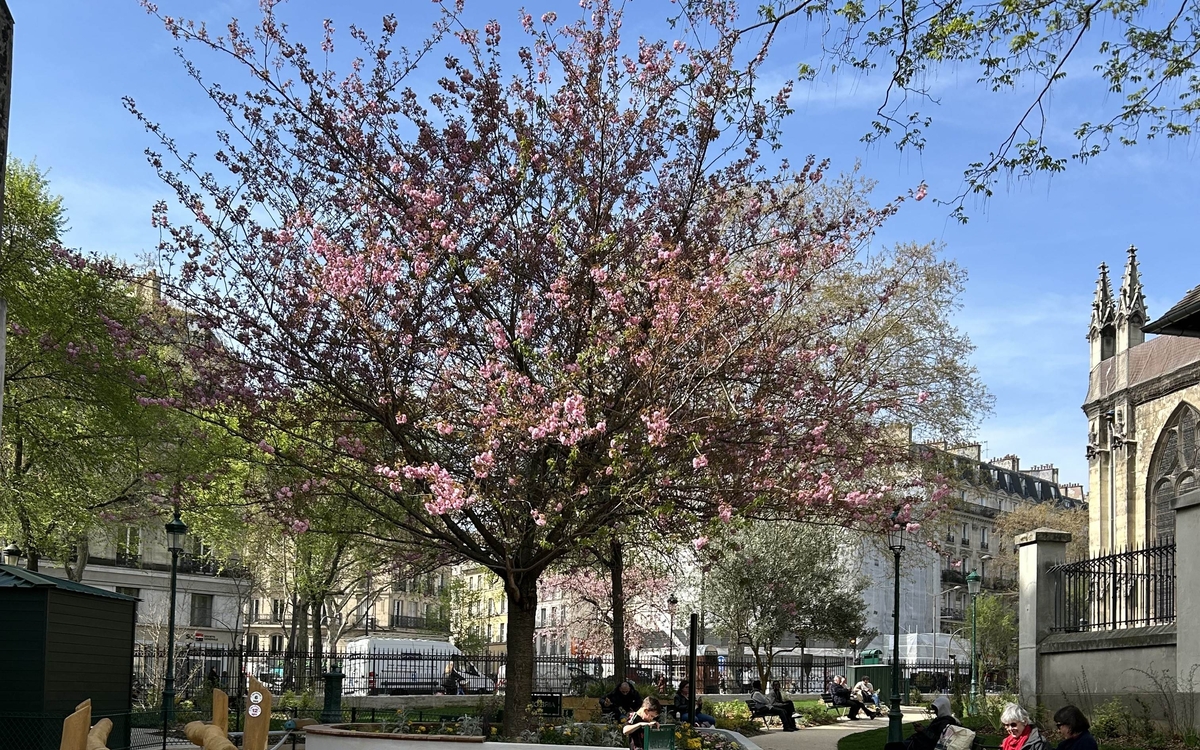 jardin du 10e avec arbre fleuri