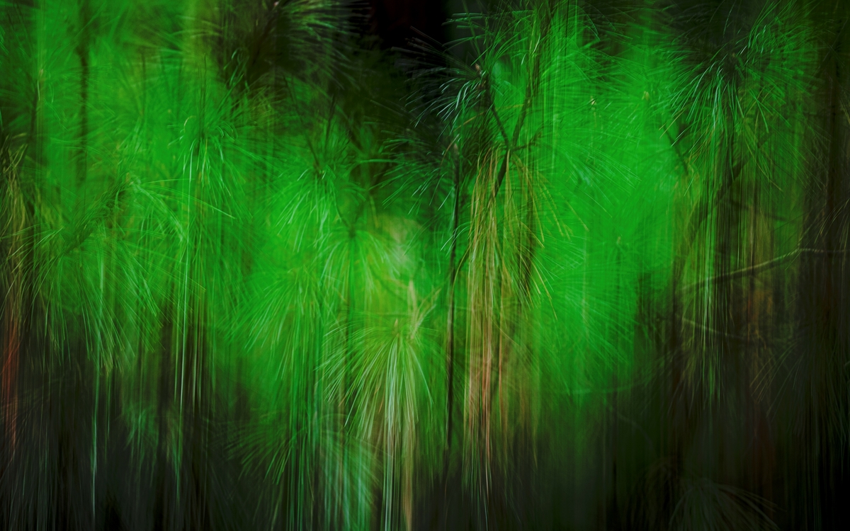 formes abstraites et végétales vert et noir