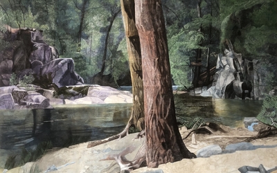 Peinture de l'artiste qui montre une forêt en plein jour. On y aperçoit des arbres à côté d'une étendue d'eau. 