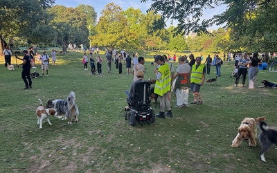 Parc avec des chiens en liberté 