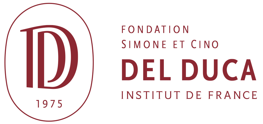 Logo Fondation Simone et Cino Del Luca