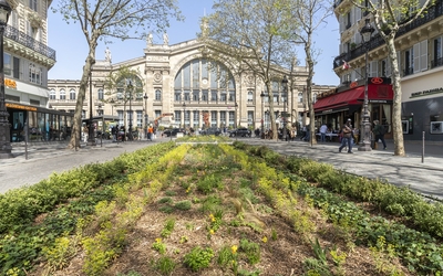 Photo des nouvelles jardinières sur le Boulevard de Denain, au centre de la voie, dans l'axe de la Gare du Nord