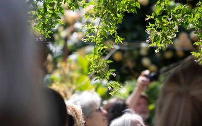 Personnes visitant des espaces verts