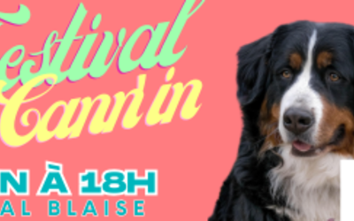 Un chien et le texte "Festival de Cann'in"