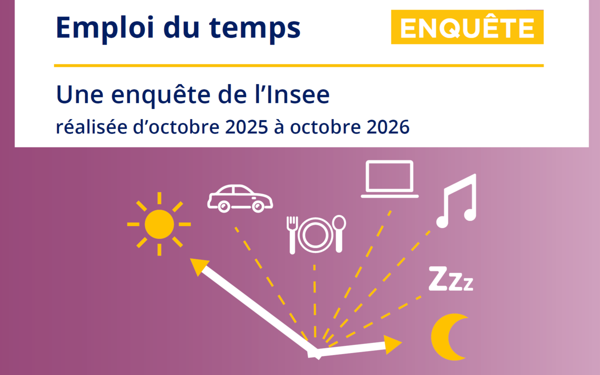visuel Enquête INSEE Emploi du temps 10/2025 à 10/2026 avec pictogrammes