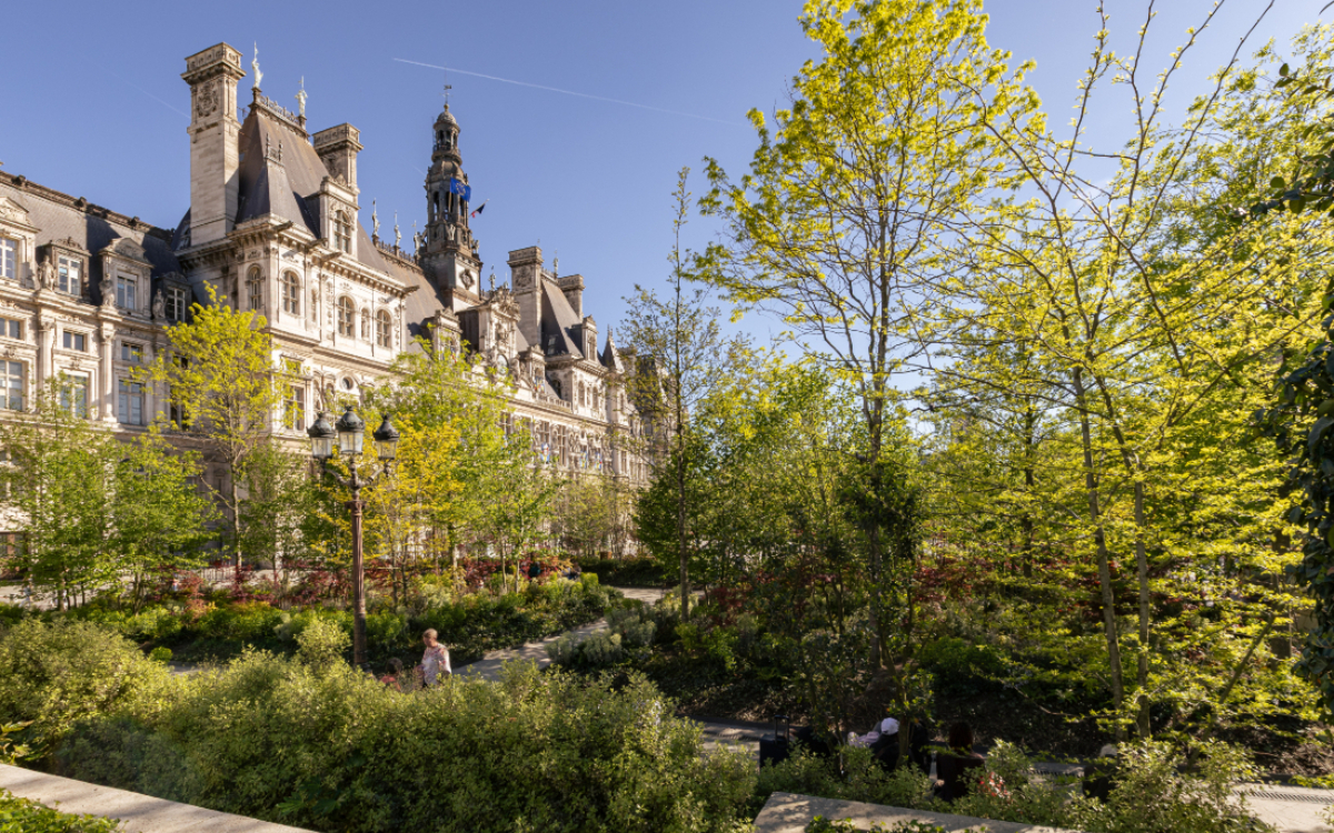 La forêt urbaine de l'Hôtel de Ville. 
