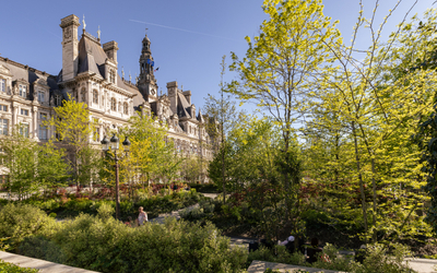 La forêt urbaine de l'Hôtel de Ville. 