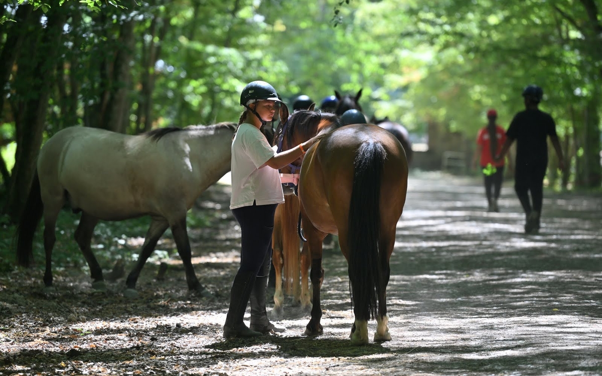une jeune se tient à côté de son cheval au milieu de la fôret pour le brosser