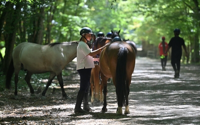 une jeune se tient à côté de son cheval au milieu de la fôret pour le brosser