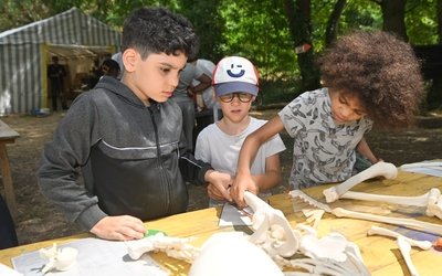 3 enfants observent une collection d'os en résine pour découvrir le corps humain