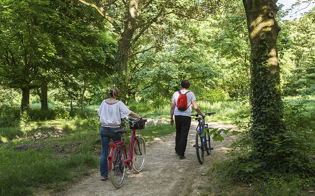 Un couple de promeneurs à vélo en forêt. 