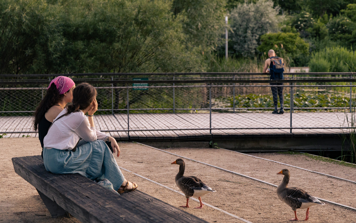 deux femmes qui discutent de dos avec des canards qui passent devant elles