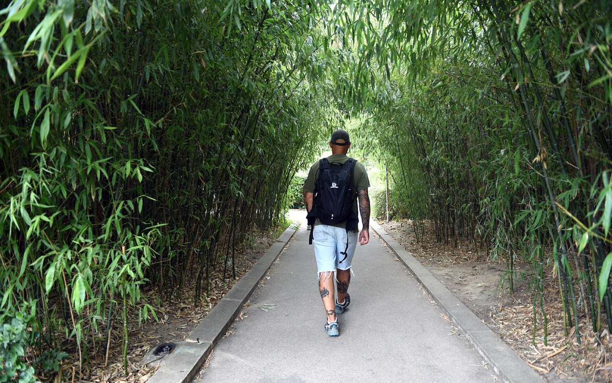 Un promeneur traverse une foret de bambous sur la coulée verte. 