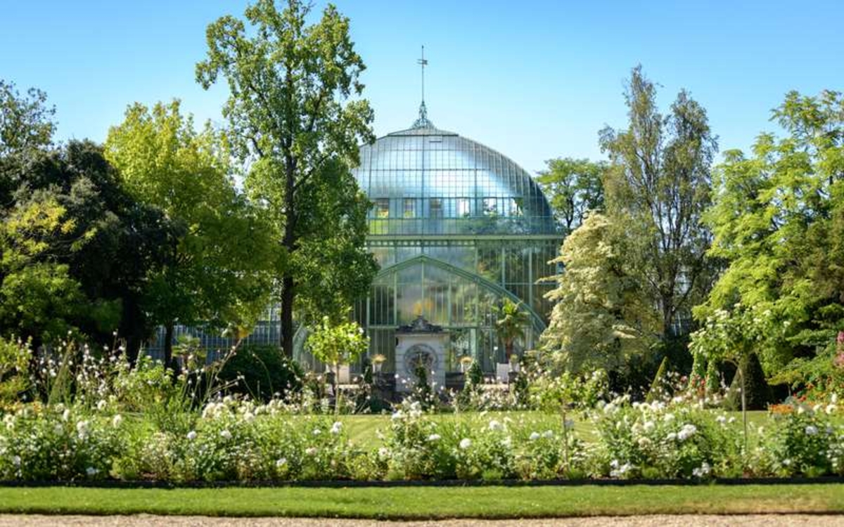 Parc verdoyant avec une serre