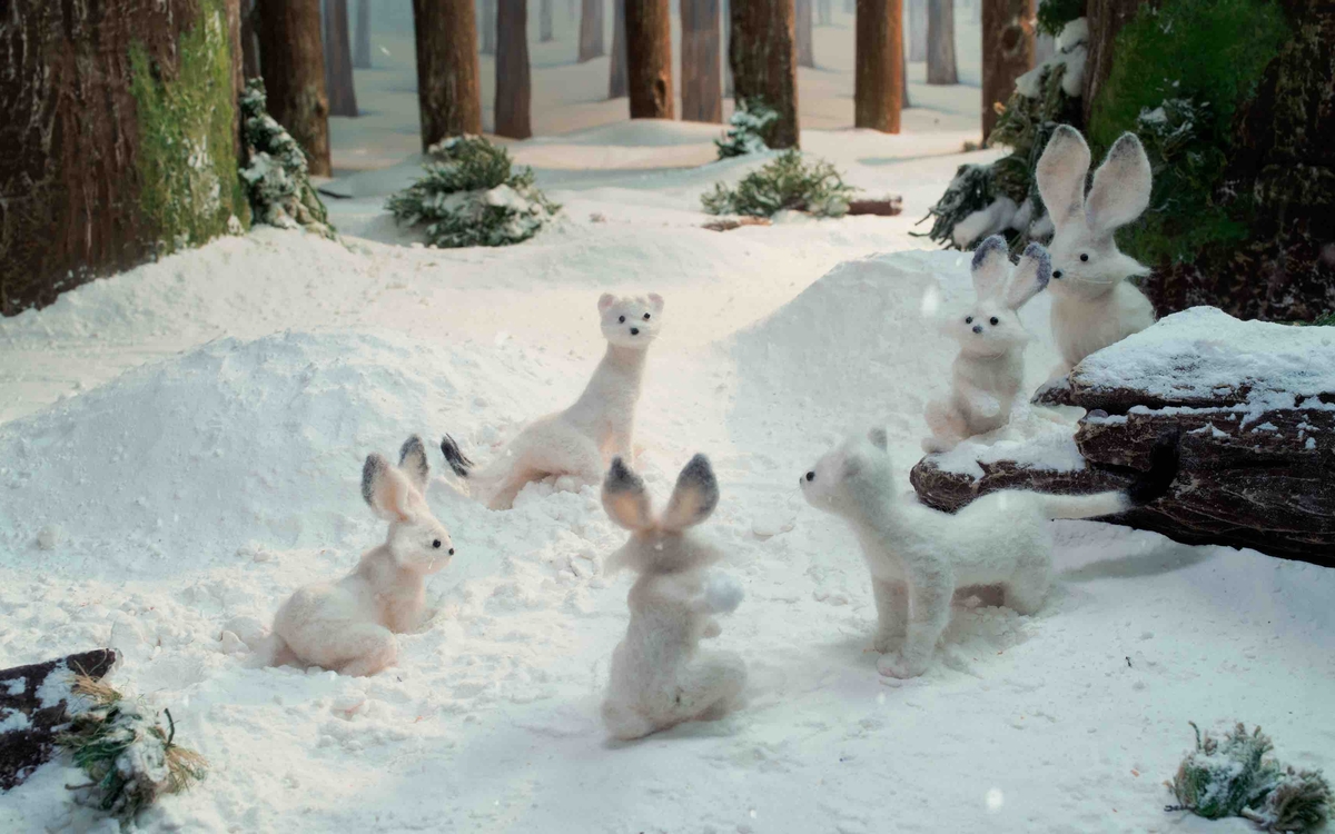 Mon Premier Festival 2026 - Aller-retour, programme "Cinema dei Piccoli"