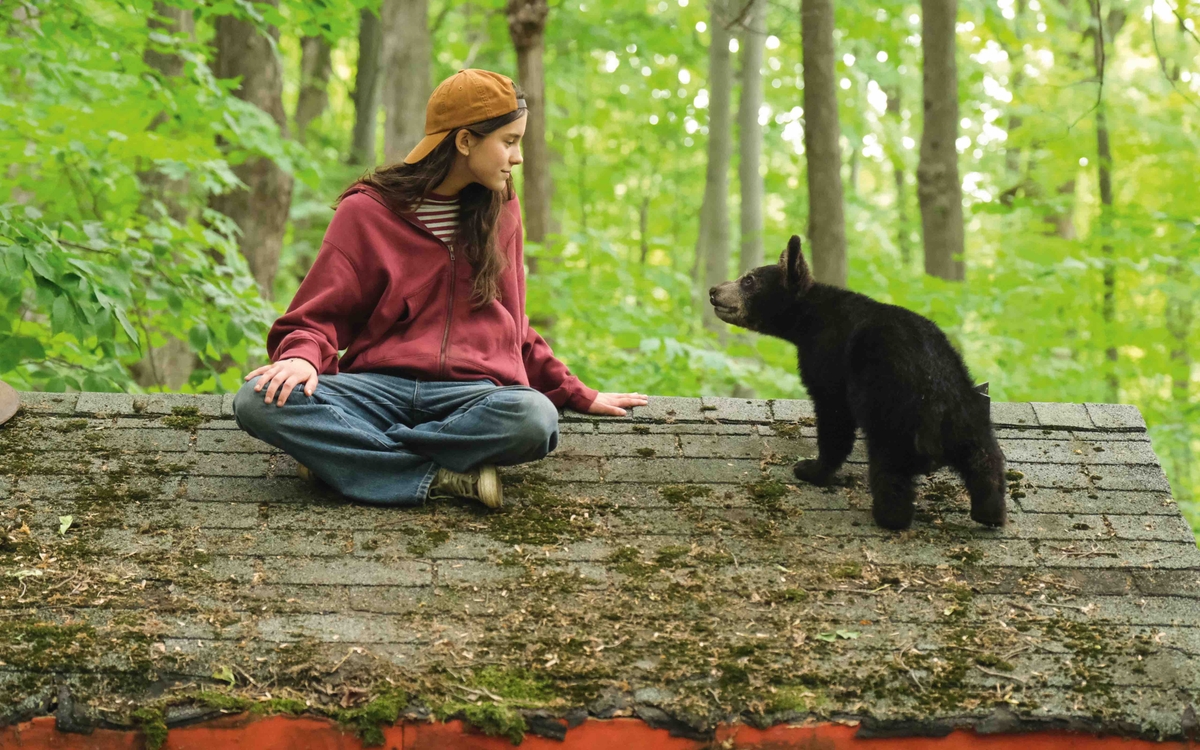 Mon Premier Festival 2026 - Melody pour un ours de Gilles de Maistre