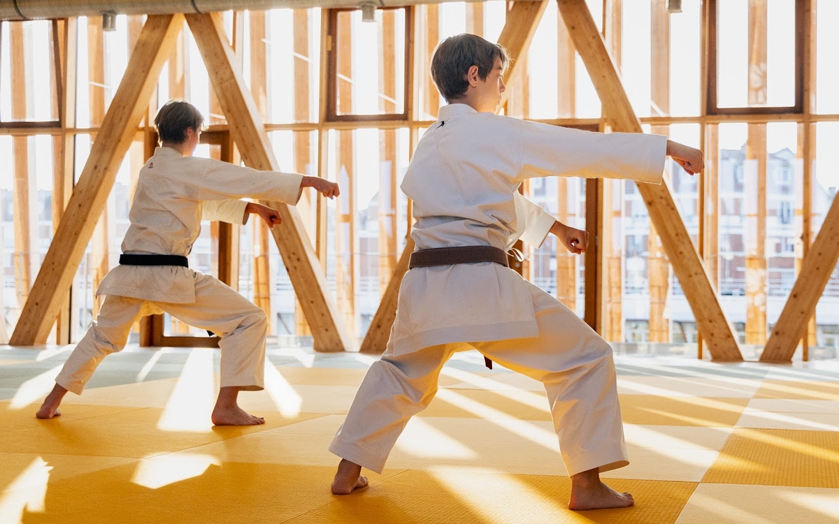 Visuel du dojo du centre sportif Suzanne Liébrard (12e)