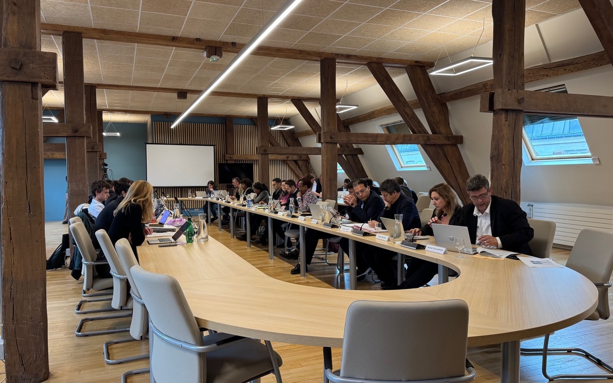 Élus du conseil d'arrondissement du 11e réunis dans la salle du conseil