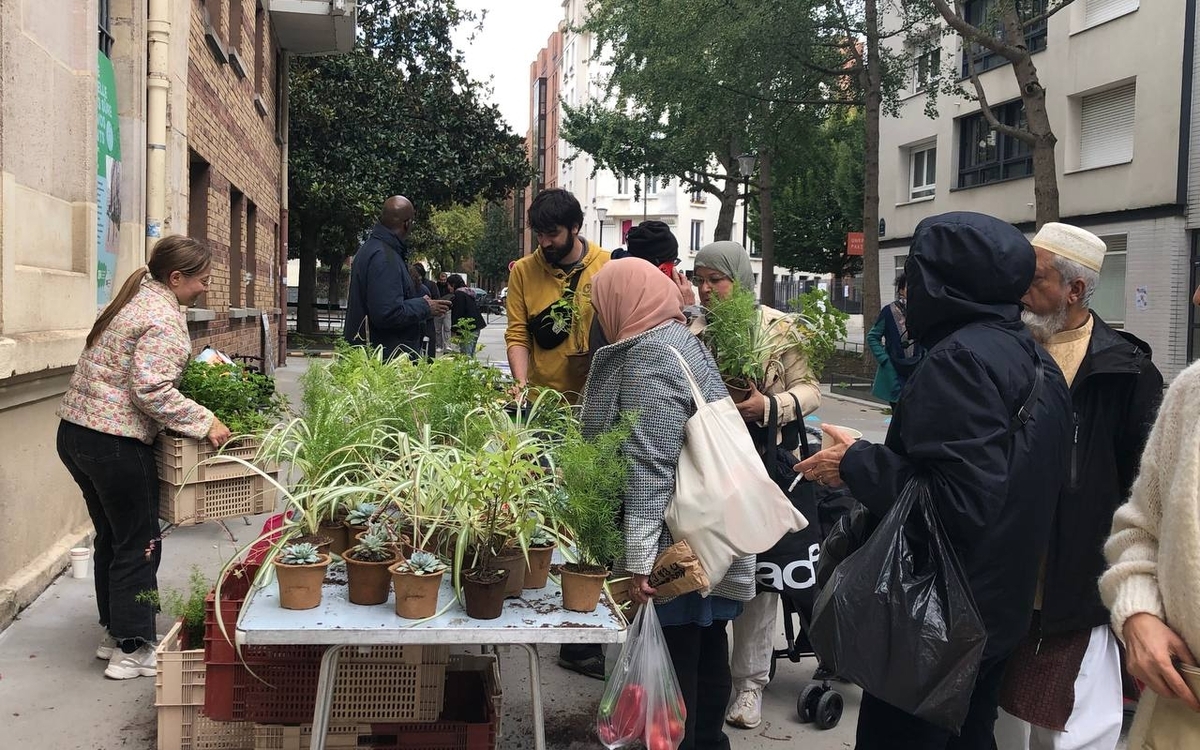 personnes recevant des plantes lors d'une fête dans une rue aux écoles