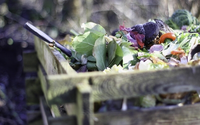 Compost