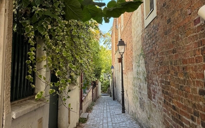 Photo du passage Plantin