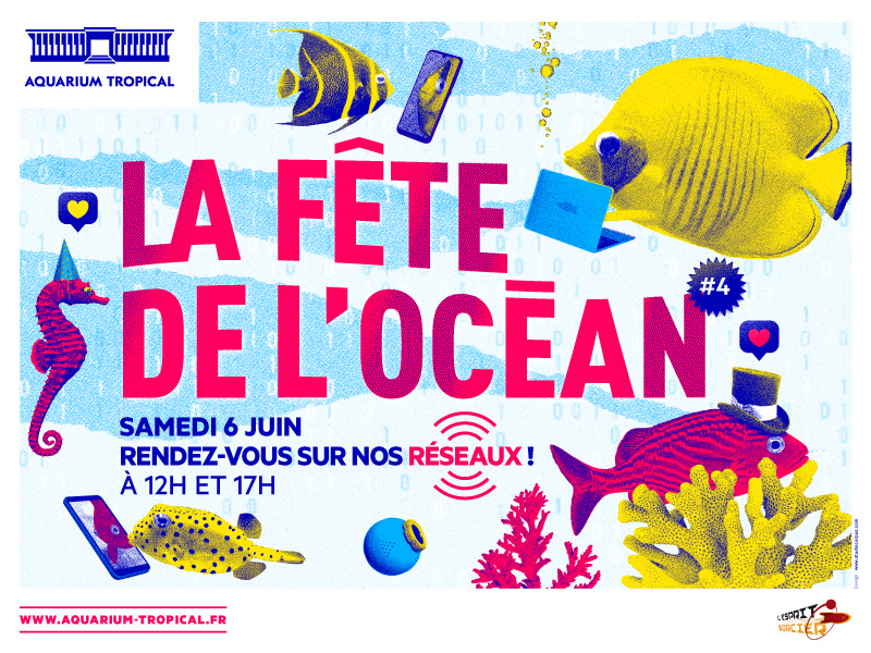 Fête de l'ocean (DR) Fête de l'ocean