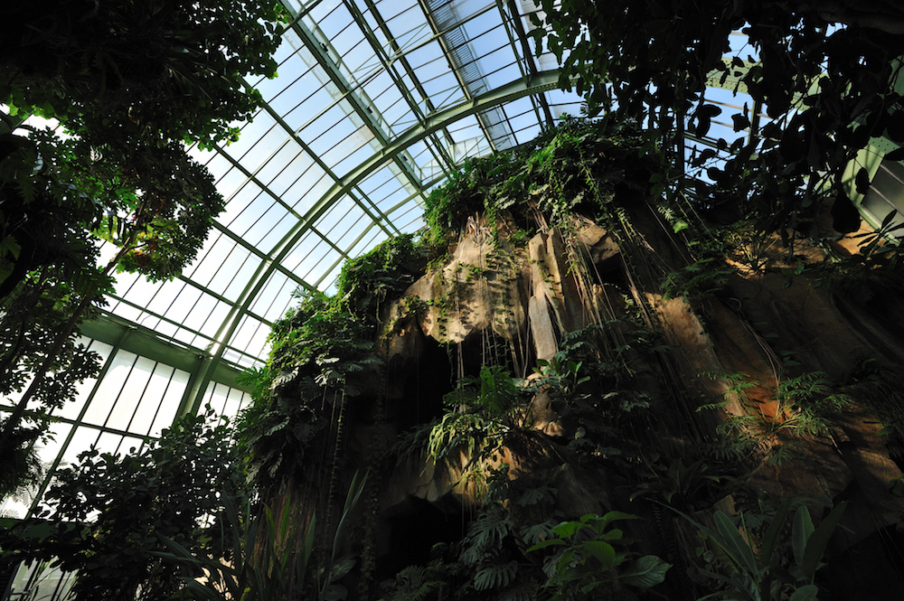 Grandes invernaderos Jardin des Plantes (© FG Grandin MNHN (2)) Grandes invernaderos Jardin des Plantes