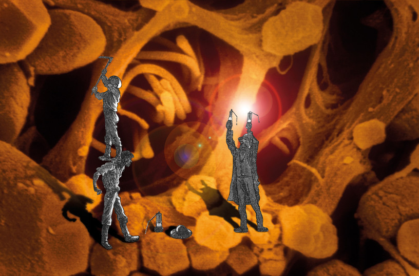 Exposition " Sciences/Fiction : voyage au coeur du vivant " |