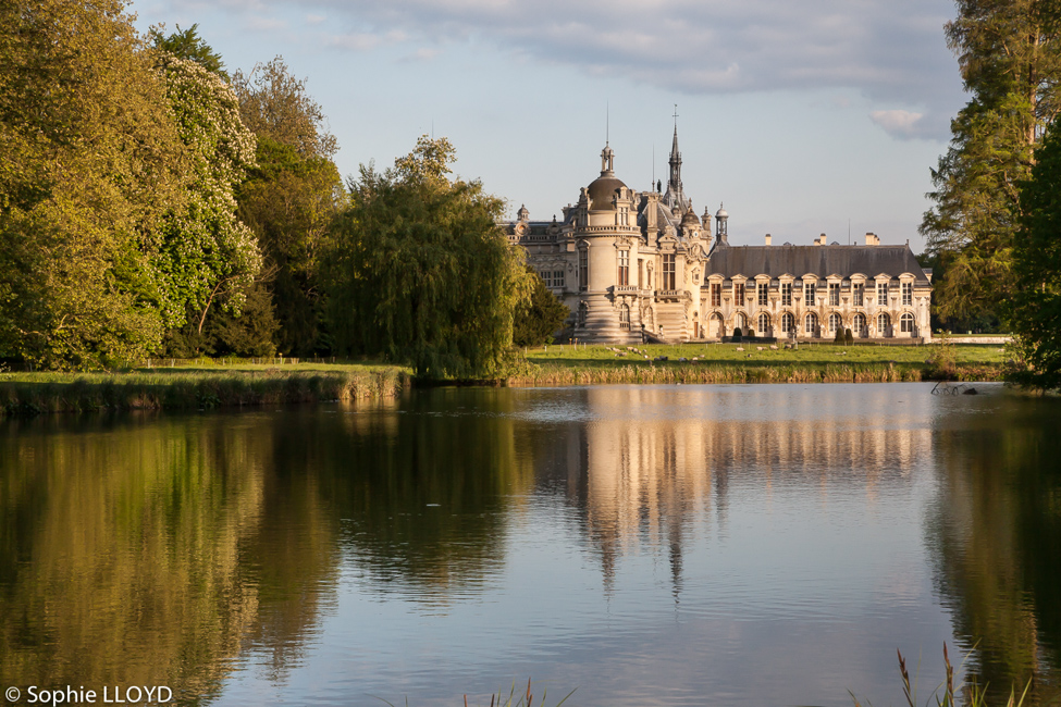 Vue du Parc Domaine de Chantilly (Sophie Lloyd) Vue du Parc Domaine de Chantilly