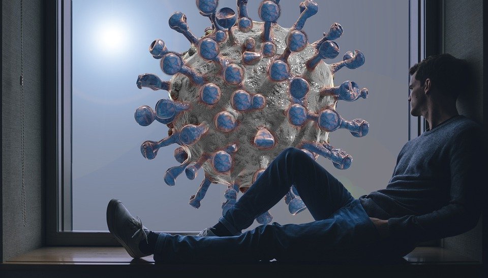 Des virus et des hommes |