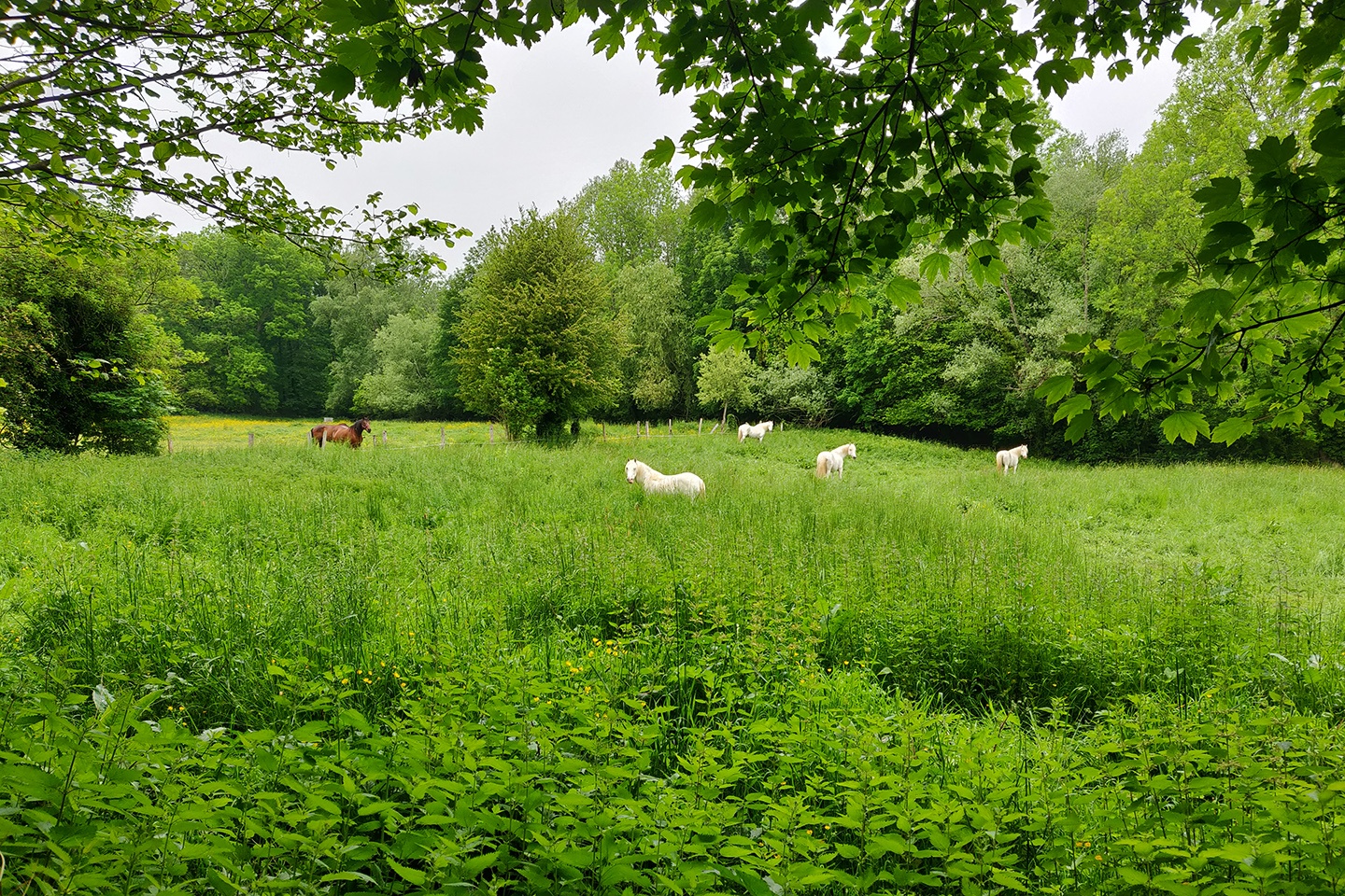 Le Vexin express (©Helloways) Le Vexin express