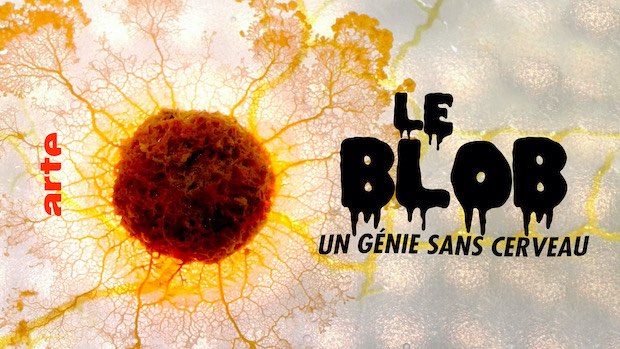 Projection/débat autour de "Le Blob, un génie sans cerveau" |
