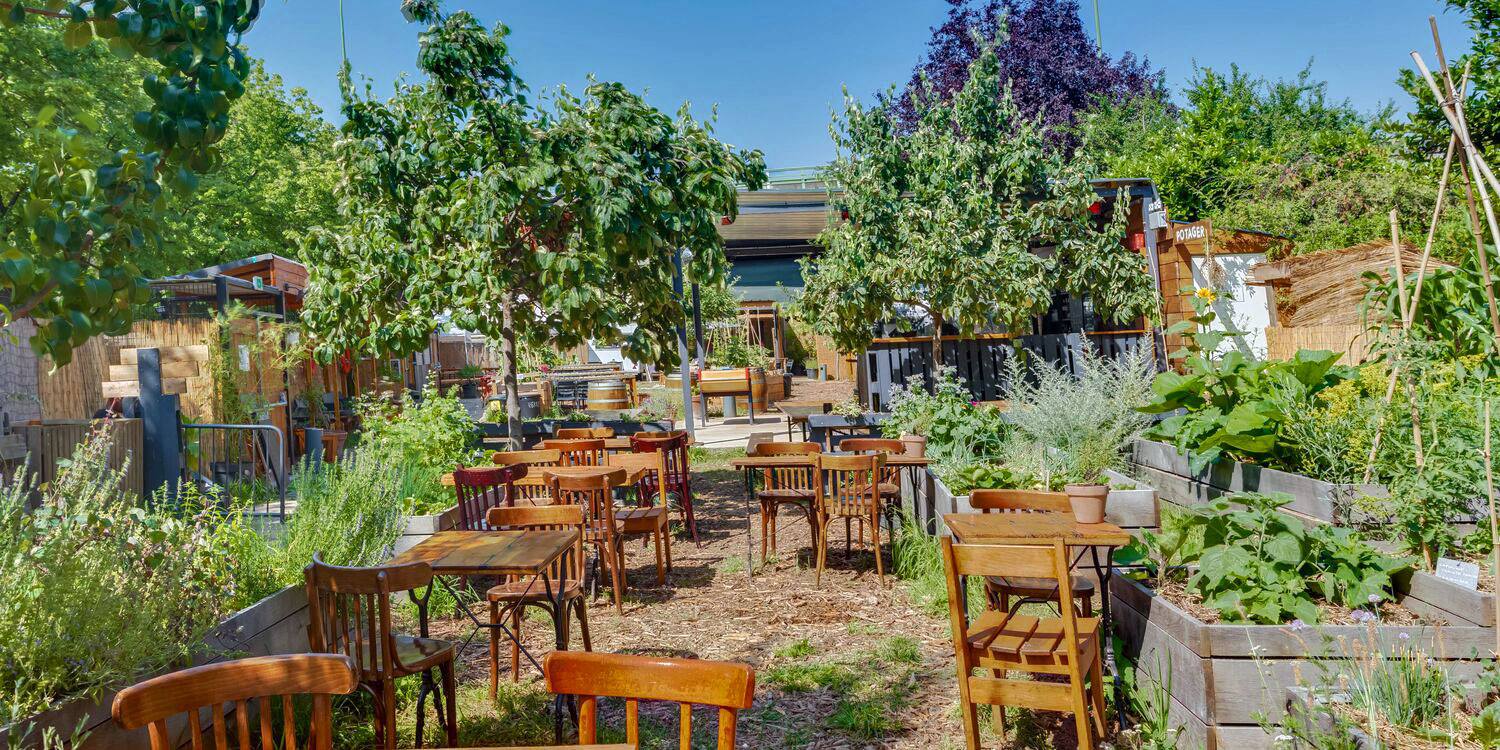 jardin 21 (DR) jardin 21