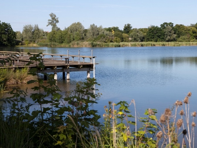 Parc départemental de la Boucle de Montesson (sortir-yvelines.fr) Parc départemental de la Boucle de Montesson