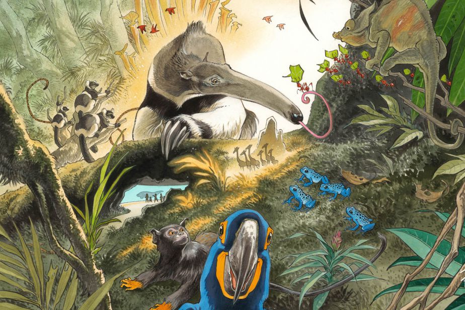 Cas sur les espèces fascinantes du Parc Zoologique de Paris (Frank Pé) Cas sur les espèces fascinantes du Parc Zoologique de Paris