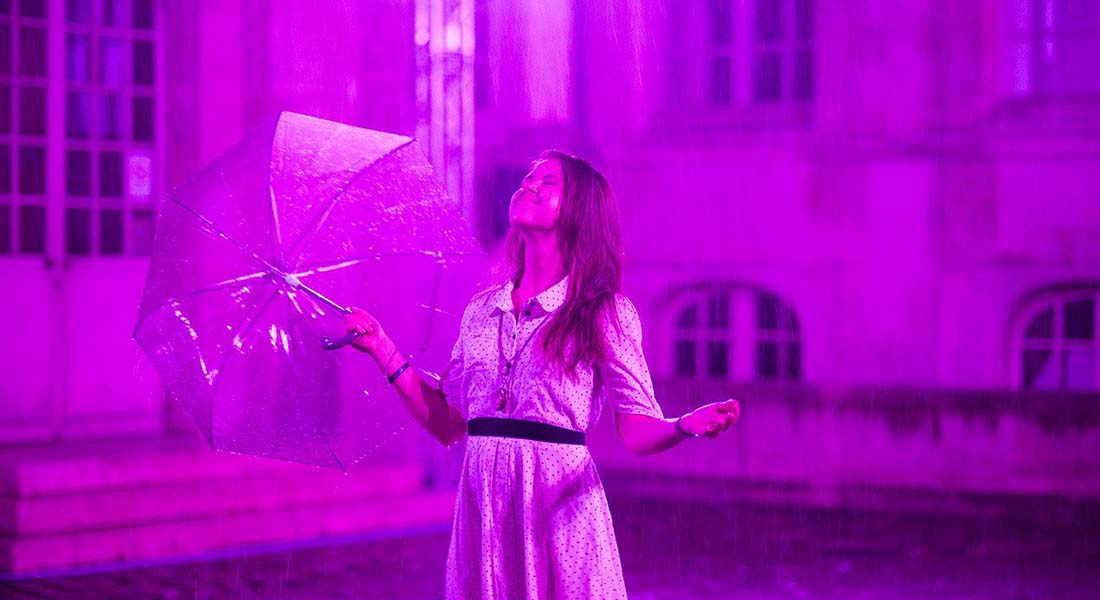 Purple Rain (Pierre Ardouvin) Purple Rain
