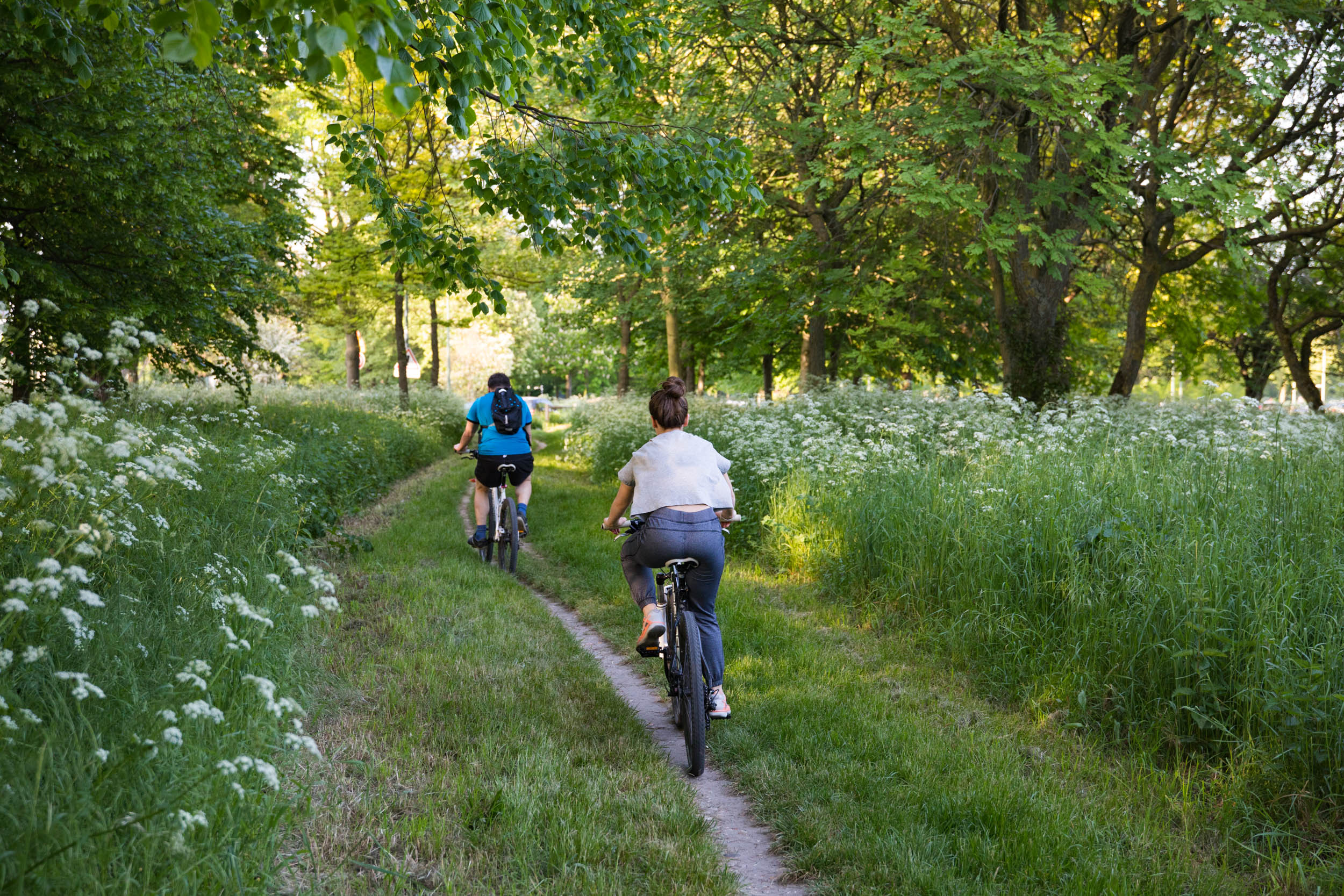 Bois de Boulogne (Guillaume Bontemps) Bois de Boulogne