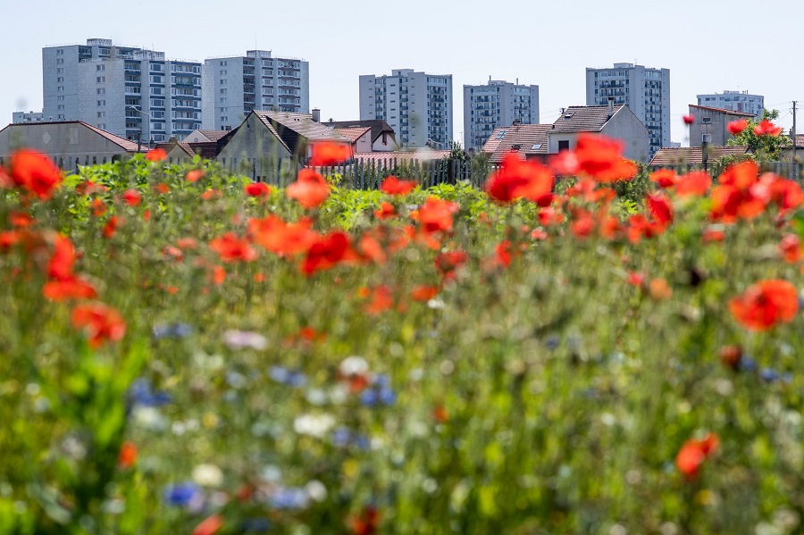 Ferme urbaine de saint-denis (@DR/FB zone sensible) Ferme urbaine de saint-denis