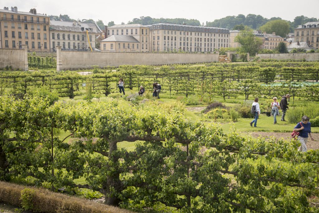 Le Potager du Roi (© Jéromine Derigny pour Enlarge your Paris) Le Potager du Roi