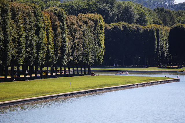 Le parc du château de Versailles (Le parc du château de Versailles rouvre ce 6 juin © Domidoba) Le parc du château de Versailles