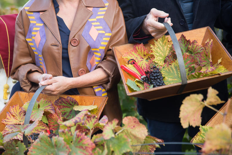 Fête des vendanges 2019 (©Joséphine Brueder/Ville de Paris) Fête des vendanges 2019