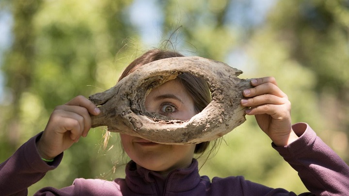 Fête de la nature 2020